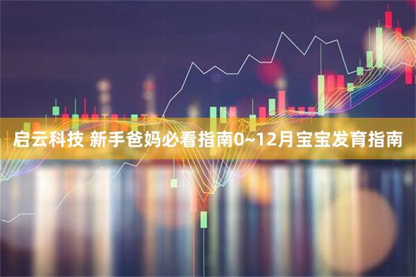 启云科技 新手爸妈必看指南0~12月宝宝发育指南