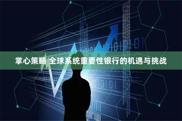 掌心策略 全球系统重要性银行的机遇与挑战
